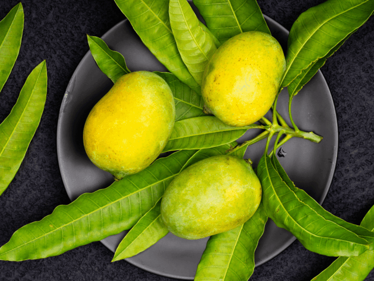 Mangga Kweni (mangifera odorata)-3-min